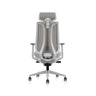NEWGEN6253A-HS - HIGH-BACK MESH BACK EXECUTIVE CHAIR