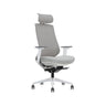 NEWGEN6253A-HS - HIGH-BACK MESH BACK EXECUTIVE CHAIR
