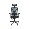 ORION ERGONOMIC EXECUTIVE CHAIR W/ ADJUSTABLE LUMBAR SUPPORT