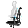 VIPER MEDIUM-BACK EXECUTIVE CHAIR WITH ADJUSTABLE LUMBAR SUPPORT (LATEST MODEL)