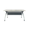 FOLDING TRAINING TABLE WITH INTEGRATED MODESTY PANEL