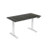 DUAL-MOTOR HEIGHT-ADJUSTABLE TABLE WHITE FRAME