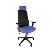 NEWGEN6249A - HIGH-BACK MESH BACK EXECUTIVE CHAIR