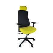NEWGEN6249A - HIGH-BACK MESH BACK EXECUTIVE CHAIR