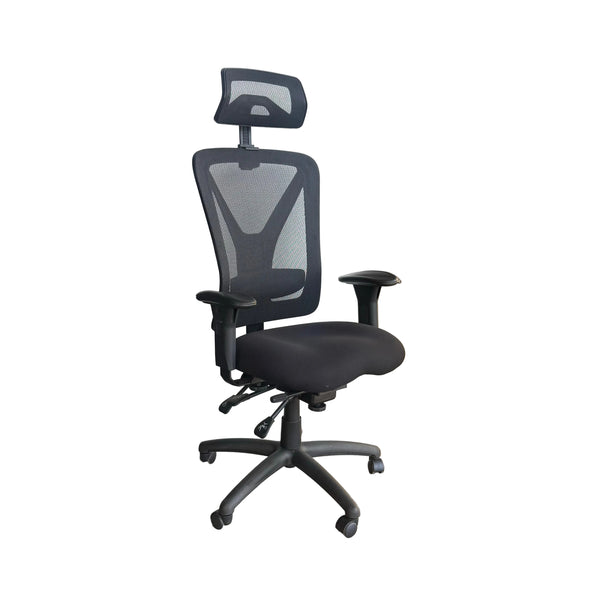 ORION ERGONOMIC EXECUTIVE CHAIR W/ ADJUSTABLE LUMBAR SUPPORT