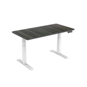 DUAL-MOTOR HEIGHT-ADJUSTABLE TABLE WHITE FRAME